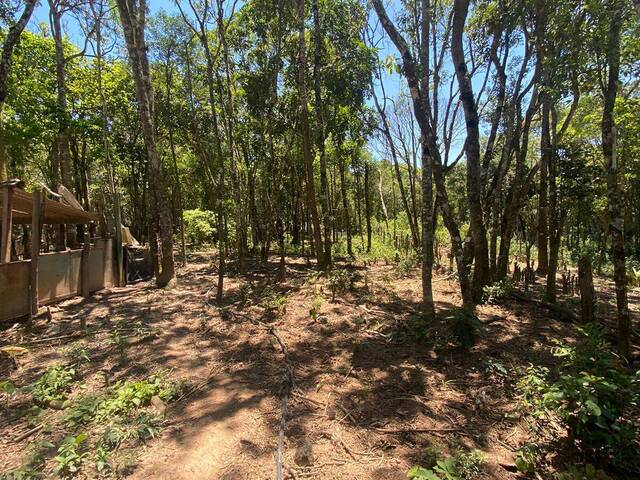 #6 - Área para Venda em Taboão da Serra - SP - 1
