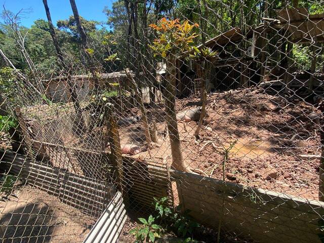 #6 - Área para Venda em Taboão da Serra - SP - 3