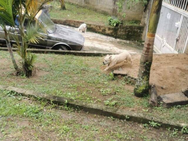 #17 - Casa para Venda em Taboão da Serra - SP